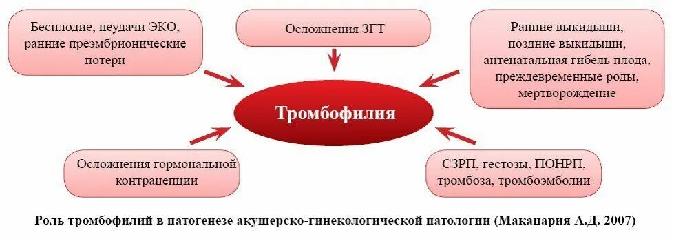 Причины неудачного эко