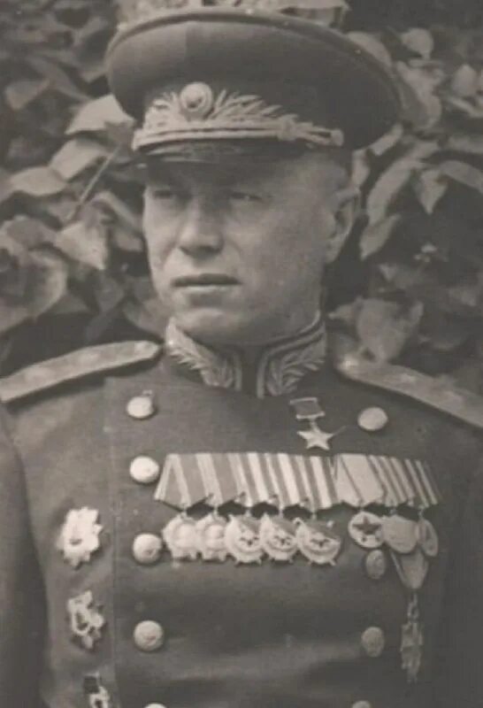 Генералы – уроженцы родниковского края. Генералы уроженцы. Генералы уроженцы. Генерал ситнов александр иванович. Генерал калужской области.