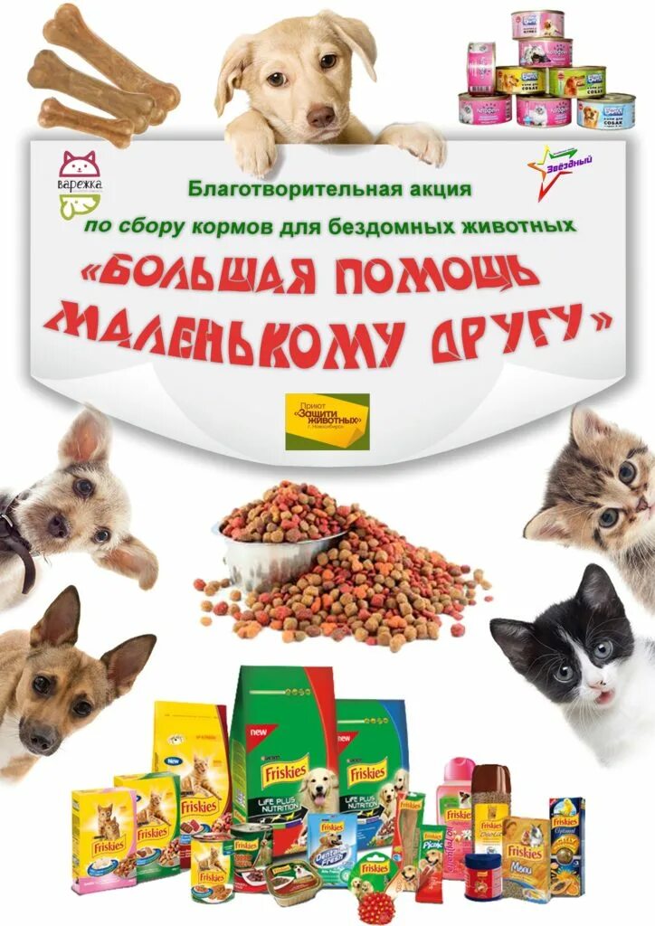 Благотворительная акция по сбору корма для животных. Сбор корма для животных акция. благотворительная акция сбор корма для животных. благотворительная акция для животных приюта. акция сбор корма для бездомных животных.