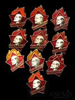 Виды пионерского