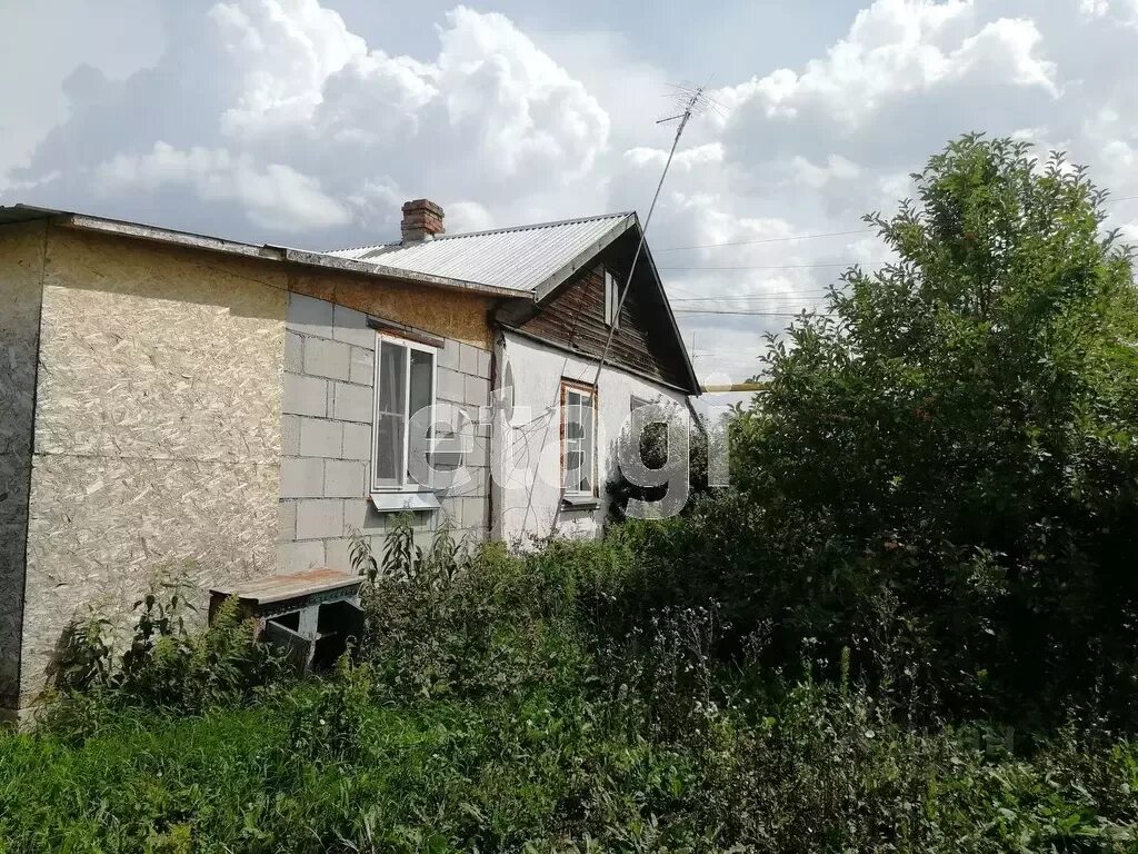 Дом большой куяш. Большой куяш храм рождества христова. Село большой куяш. Озеро большой куяш челябинская область. Большой куяш челябинская область.