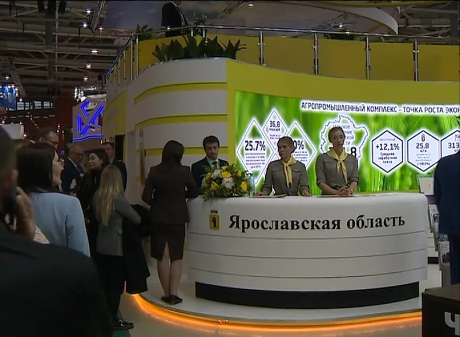 Визит ярославия