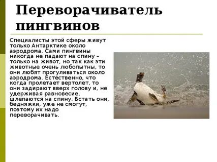 Поднимать пингвинов