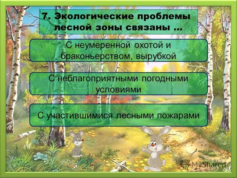 Экологические проблемы использования природных зон. Проблемы лесных зон. экологические проблемы леса. лесные экологические проблемы. экологические проблемы зоны леса.
