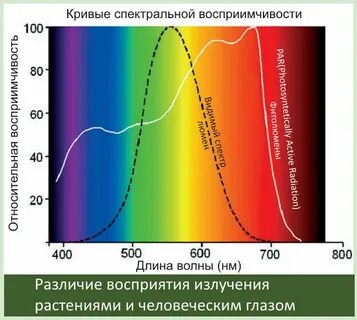 Спектральные кривые