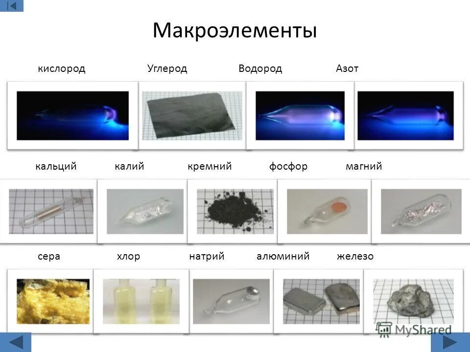 Кальций углерод кислород. Сера кислород кремний. Натрий водород углерод кислород. Водород, углерод, азот, кислород и кремний. Кальций кремний кислород и сера фтор