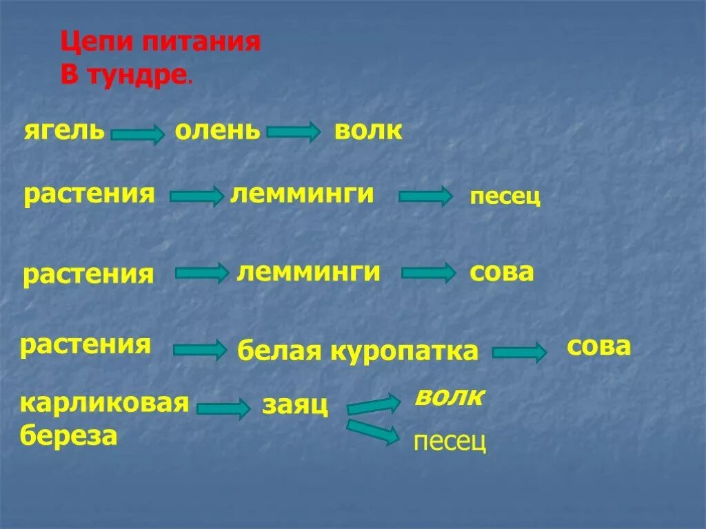 Цепи питания катушек