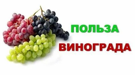Виноград при похудении можно