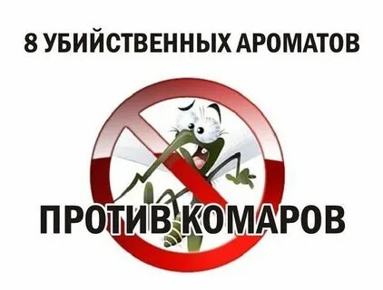 Какого запаха боятся комары