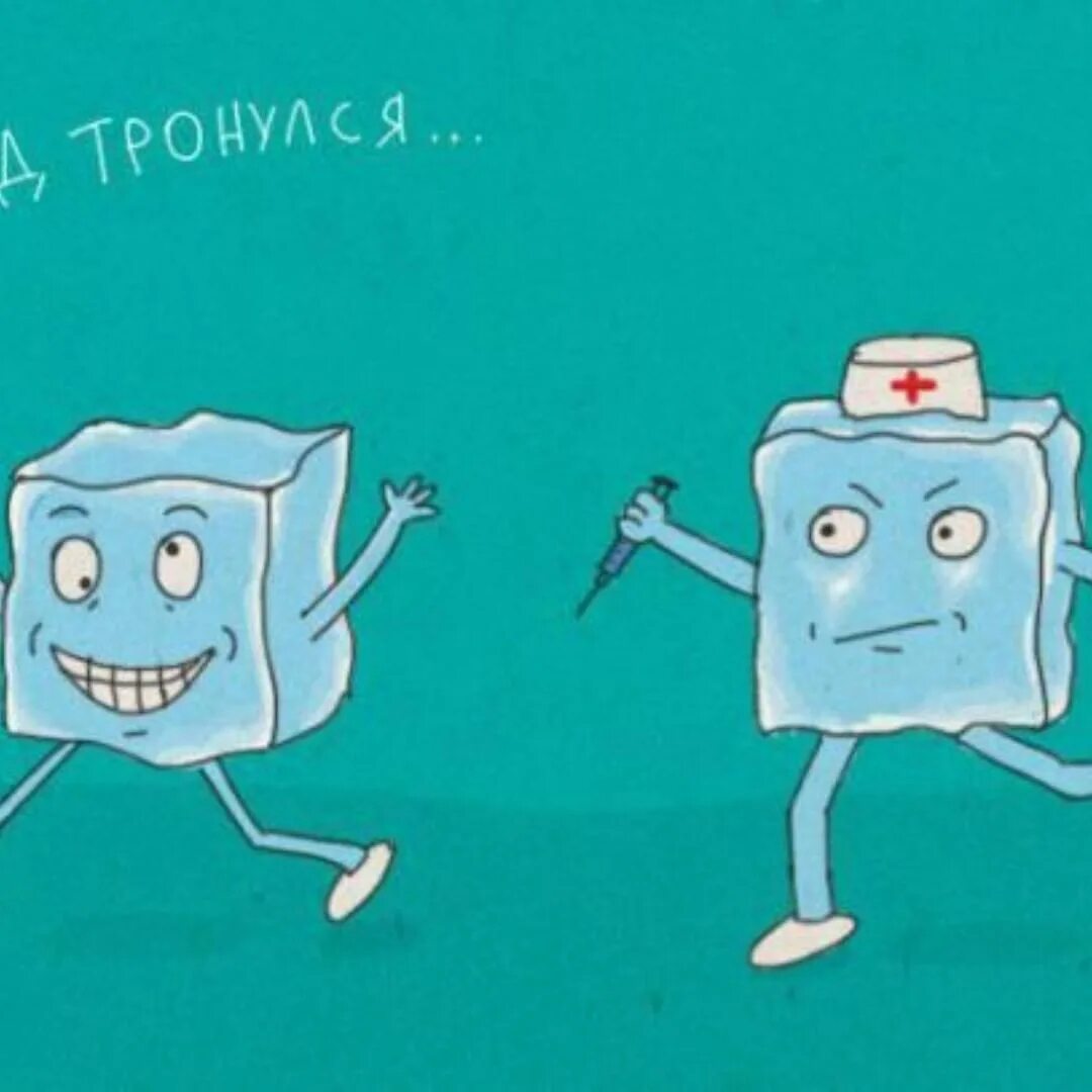 Настя вставай. Манул смешной. Фотоохота на животных в дикой природе. Мемы с котиками настя. Фразеологизмы смешные картинки.