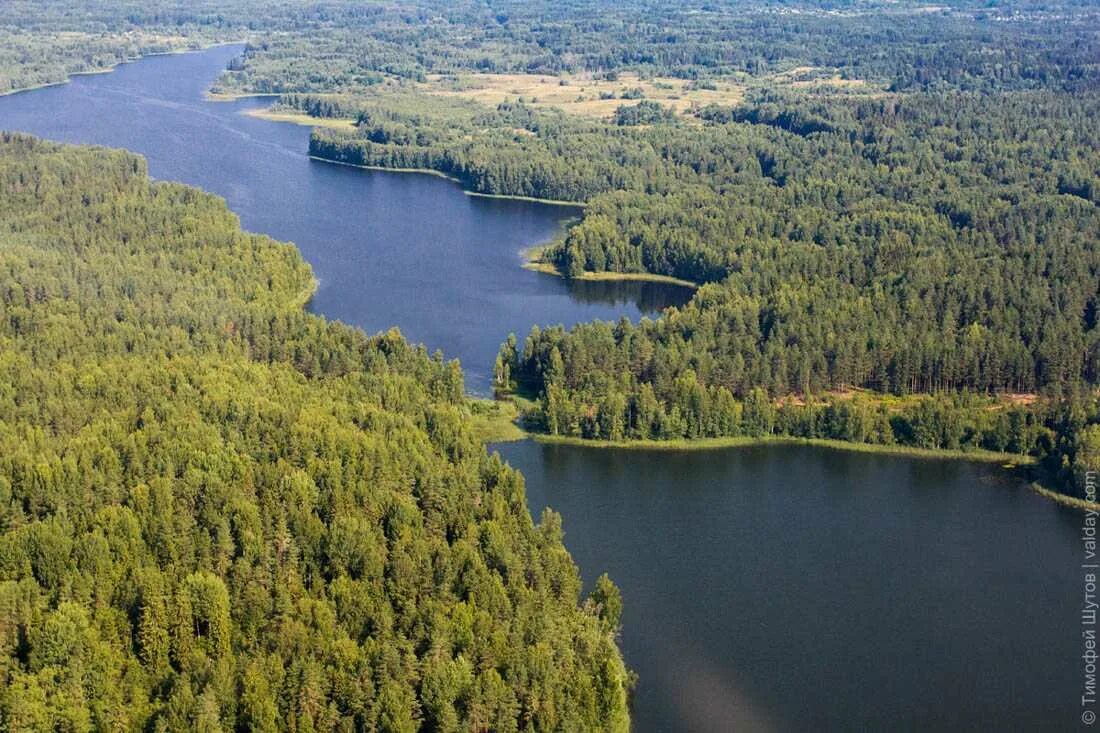 Парки новгородской области. Валдайский национальный парк. Валдайский заповедник Новгородской области. Валдайский национальный парк (Валдай). Новгородская область парк Валдайский национальный парк.