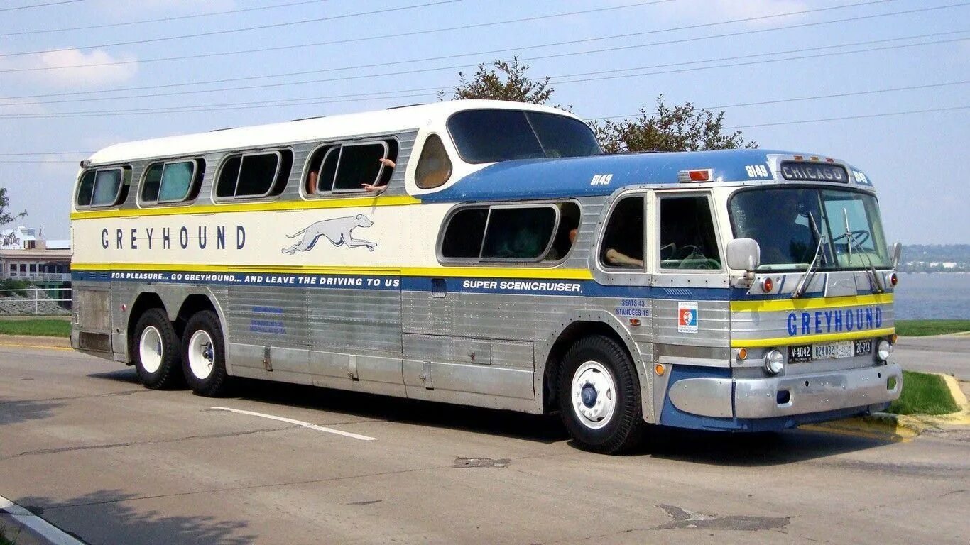 Greyhound автобус. Greyhound автобус. Грейхаунд автобусная компания. Американские автобусы грейхаунд. Greyhound bus.