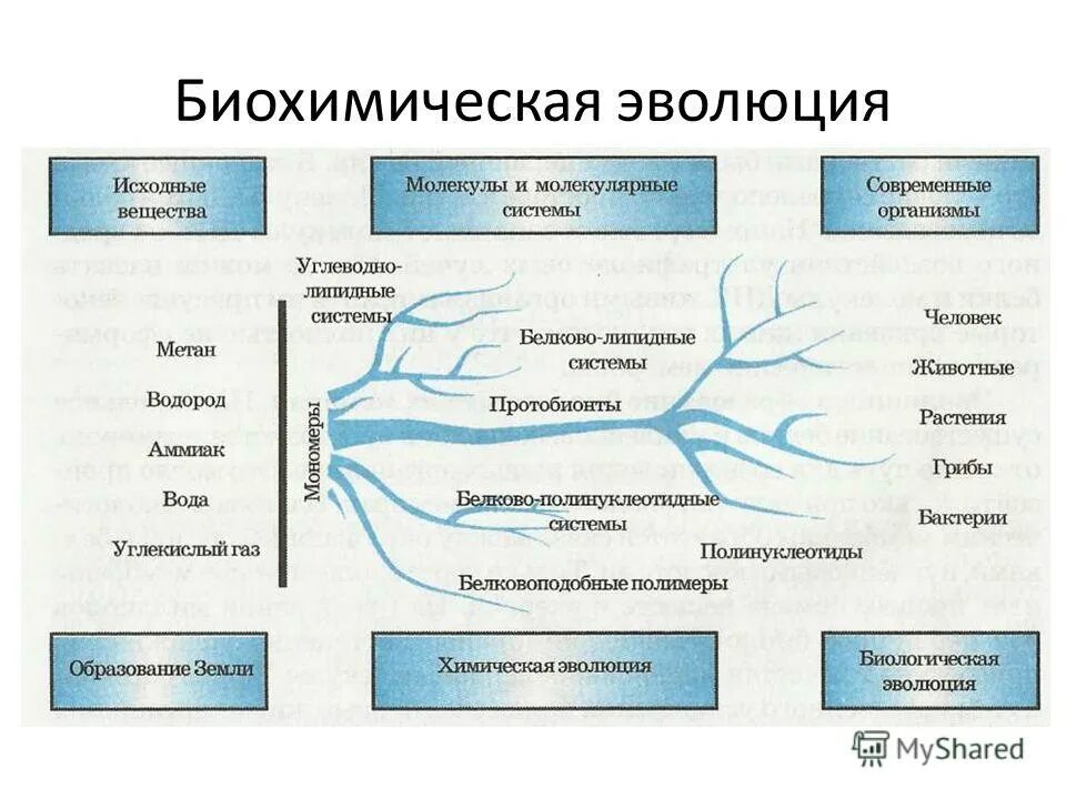 условия возникновения жизни на земле 9 класс. гипотеза абиогенного происхождения жизни. условия возникновения жизни на земле 9 класс. гипотезы происхождения живого вещества на земле. этапы биохимической эволюции схема.