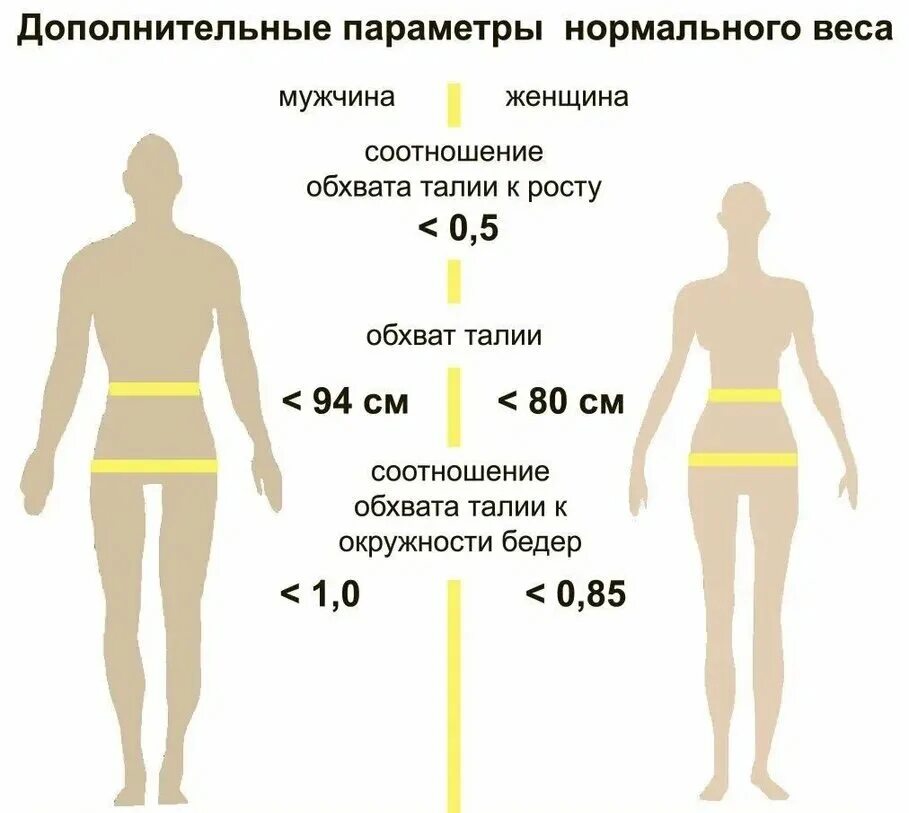 Обхват талии норма. Соотношение талии и бёдер. Норма талии у женщин. Окружность талии у мужчин норма.