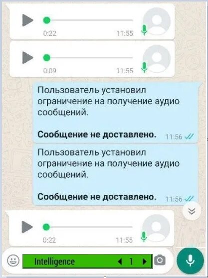 Голосовое сообщение в ватсапе. Сообщение не доставлено в ватсапе. Пользователь установил ограничение на получение аудио сообщений. Сообщение вотсапп недоставлпно. Ватсап тихие голосовые сообщения