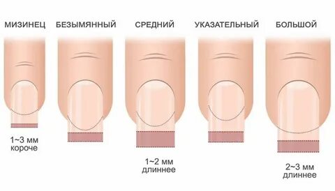 Форму и долгое время