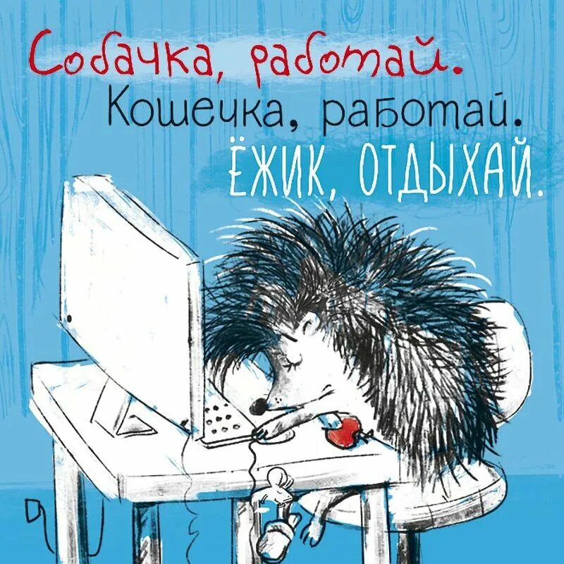 День без грусти. Скучающий Ежик. Открытки с Ёжиками прикольные. Еж выздоравливай. Ежик на работе.