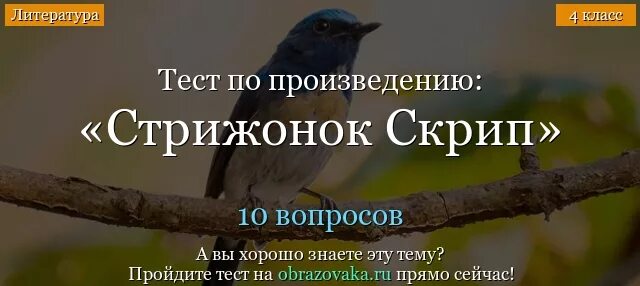 Стрижонок скрип. Тест по произведению Стрижонок скрип. Тестовая работа по рассказу Стрижонок скрип. Тест по литературе Стрижонок скрип. Кроссворд к рассказу астафьева стрижонок скрип