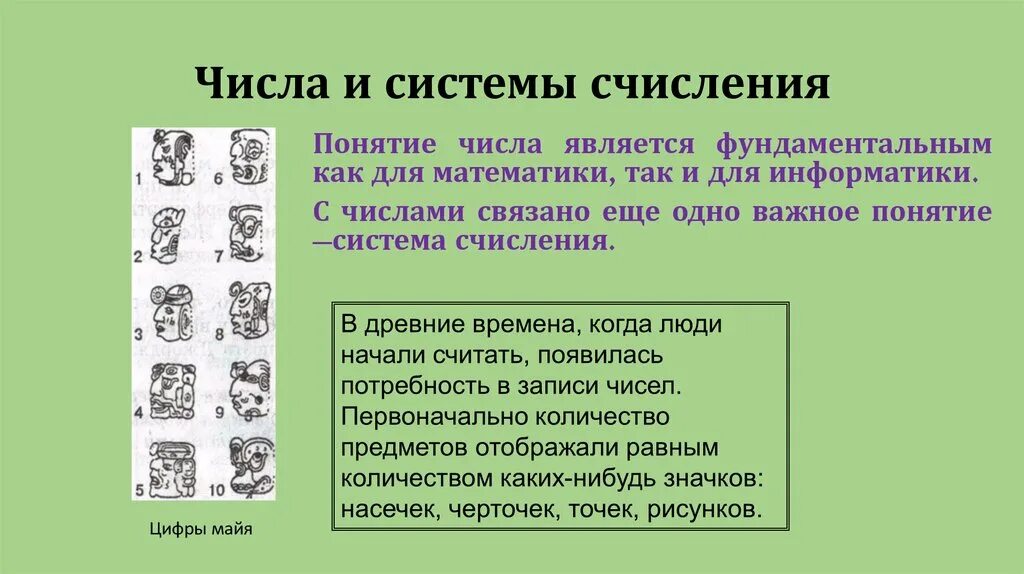История системы счисления информатика 8 класс