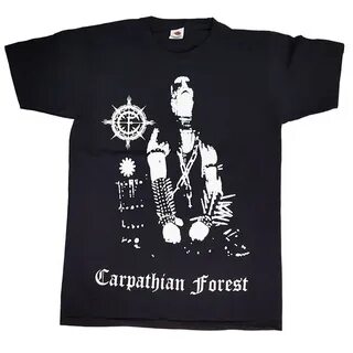 Carpathian forest