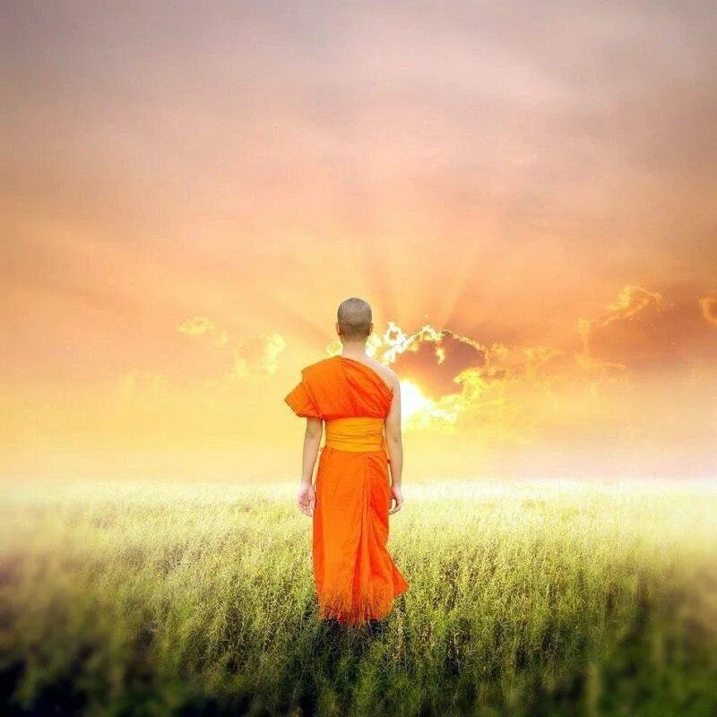 Проявить душевный. Спокойствие мудрость. Душевного равновесия и гармонии. Душевное спокойствие и Гармония. Буддийская мудрость.
