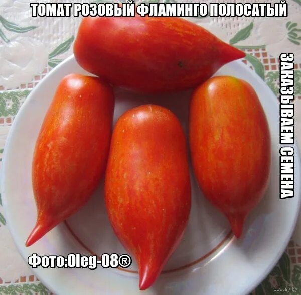 Томаты розовый фламинго описание сорта. Томат розовый фламинго полосатый. томат розовый фламинго с носиком. томат розовый фламинго полосатый с носиком. розовый флапито с носиком томат.