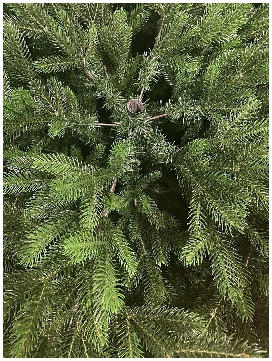 царь елка раскидистая 240. царь елка раскидистая 240. супер елка. царь елка раскидистая 240. царская елка способ укладки.