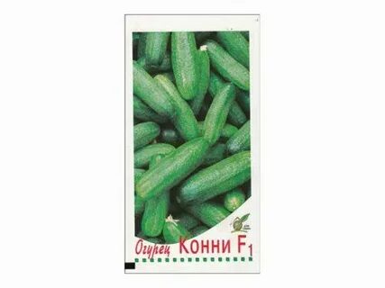 Огурец сорт конни