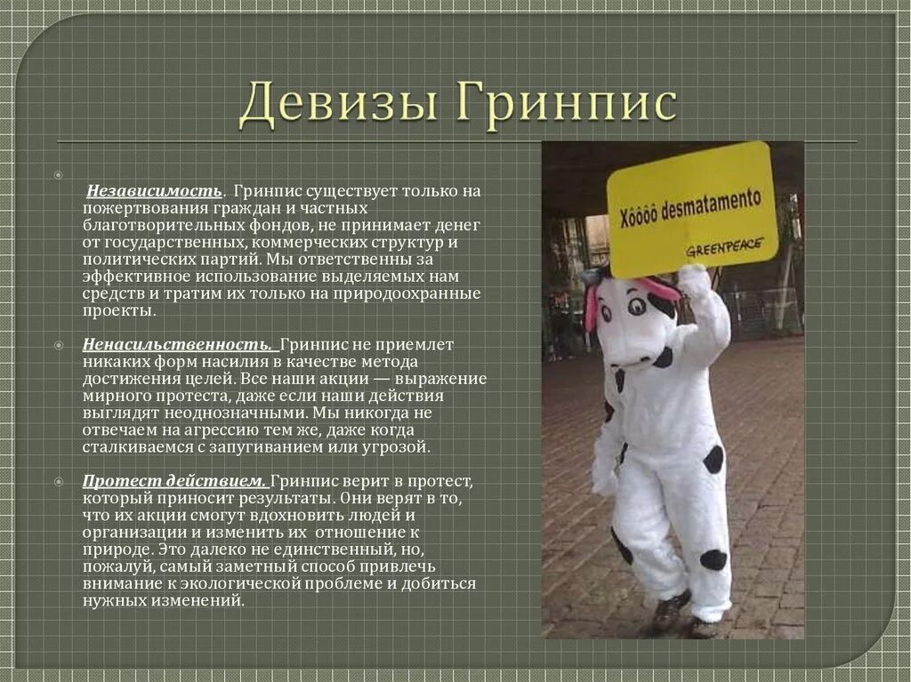 Гринпис сообщение. Девизы гринпис. лозунг гринпис. greenpeace лозунги.