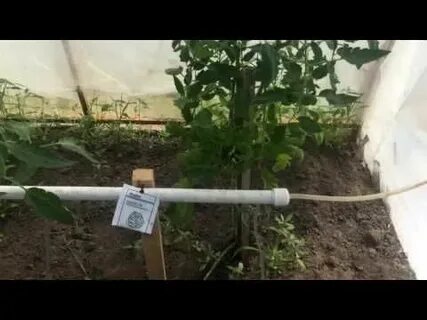 Огород капельный полив своими руками