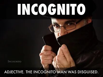 Инкогнито слова