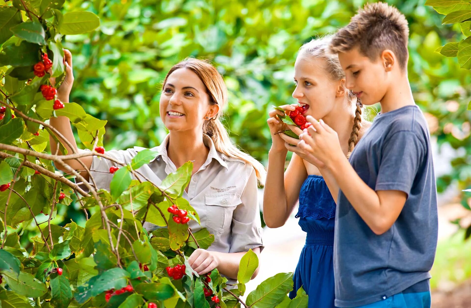Taking fruit. Люди едят тропические фрукты. fruit world.