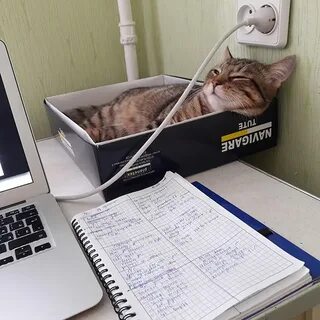 Работать умом