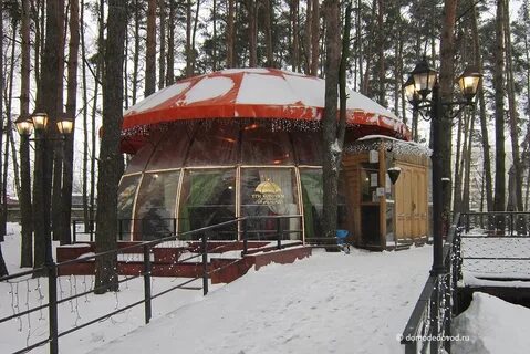 Парк елочки в домодедово аренда