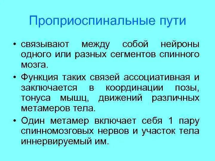 Мышечный тонус спинальных животных