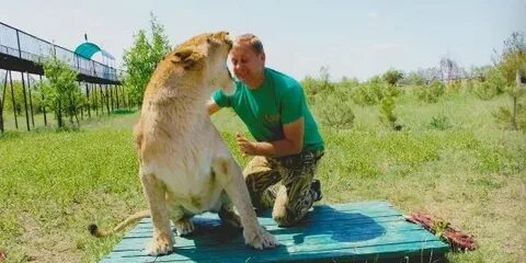 Люська и компания тайган дзен