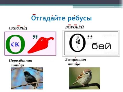 Отгадать слово птицы