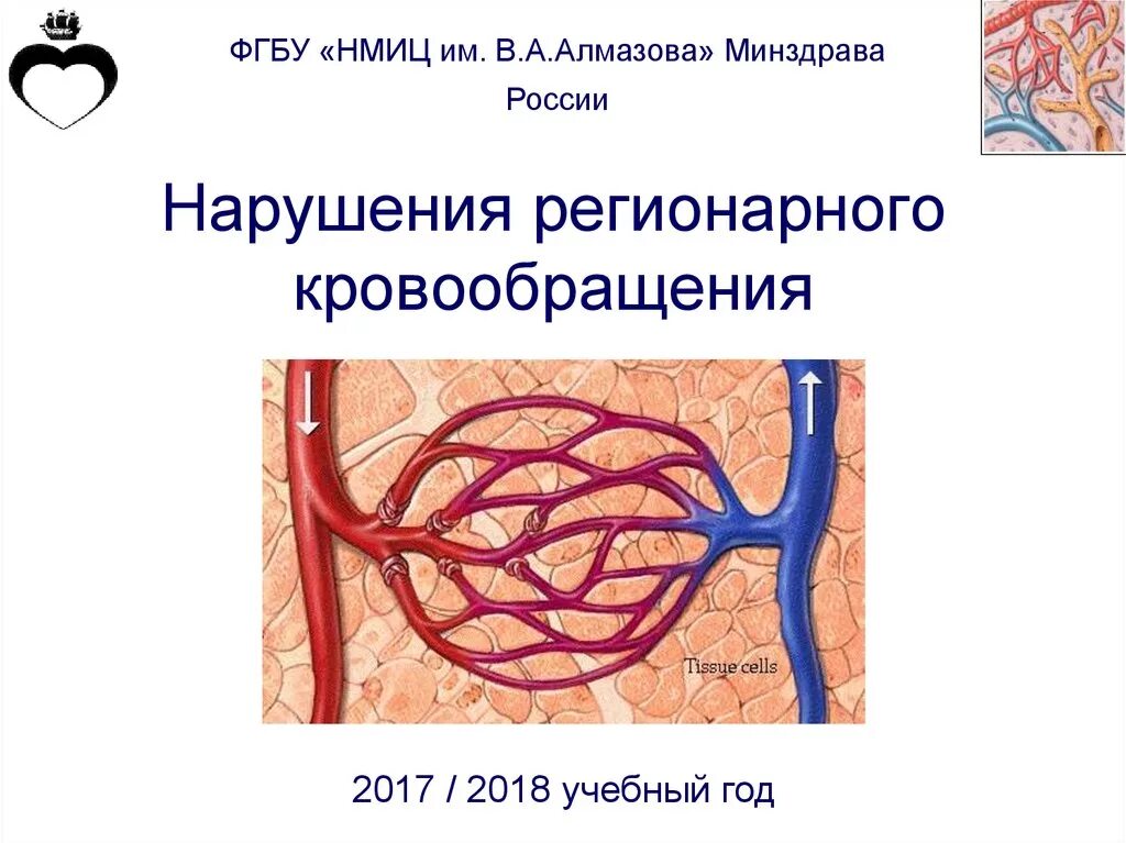 Нарушение микроциркуляторного кровообращения. Патология микроциркуляции. Патология регионарного кровообращения. Основы хирургии нарушений регионарного кровообращения. Нарушение общего кровообращения