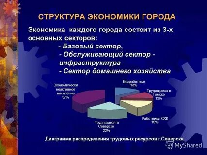 Социально экономическая структура города