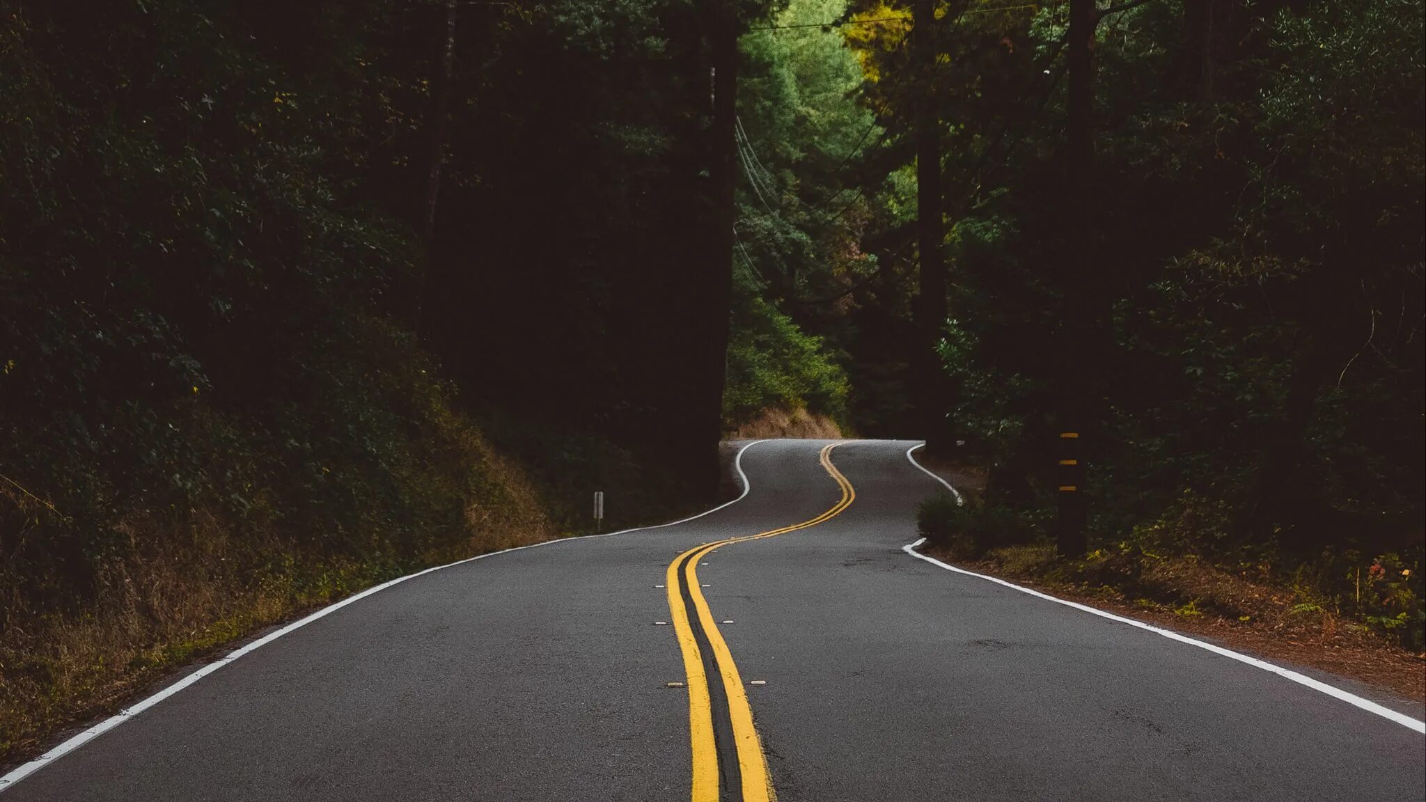 Попробуй найди дорога. Жёлтая разметка на дороге. Дорога. Дорога с желтой полосой. Красивая дорога.