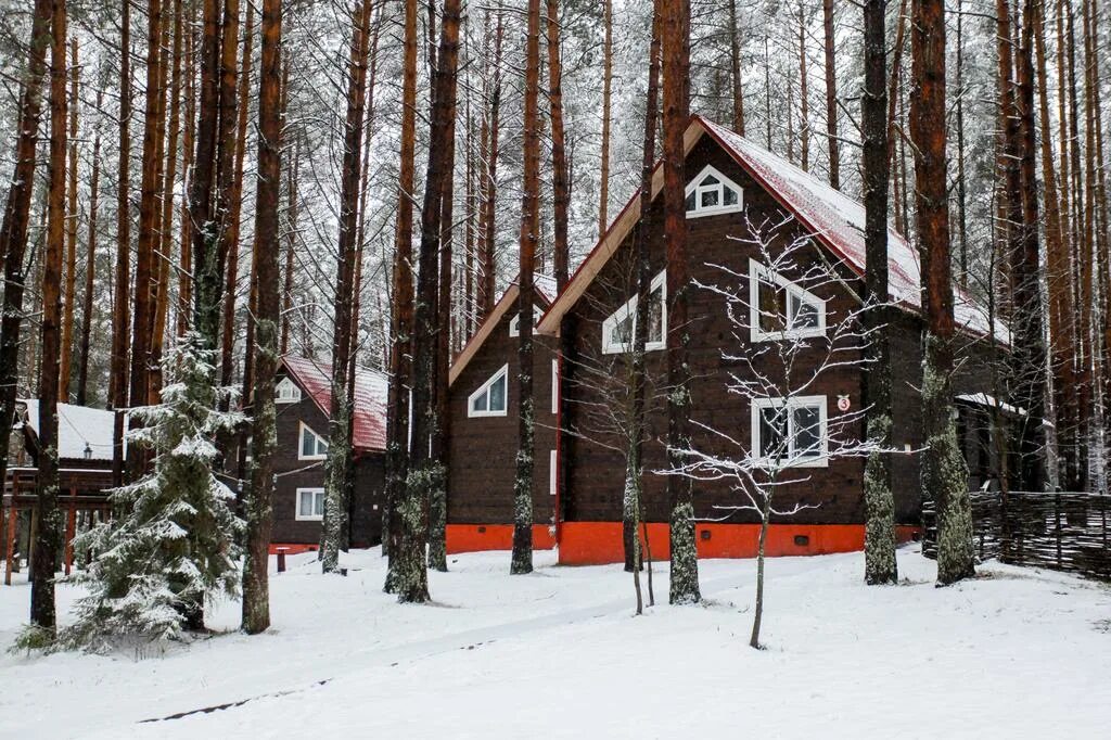 Купить путевку в нижегородскую область. Турбаза Ягодная деревушка Нижегородская. Ягодная деревушка база отдыха Нижегородская область. База отдыха «Ягодная деревушка» (Семеновский район). Ягодная деревушка Семенов база отдыха.