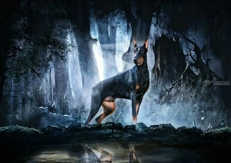 Doberman Painting