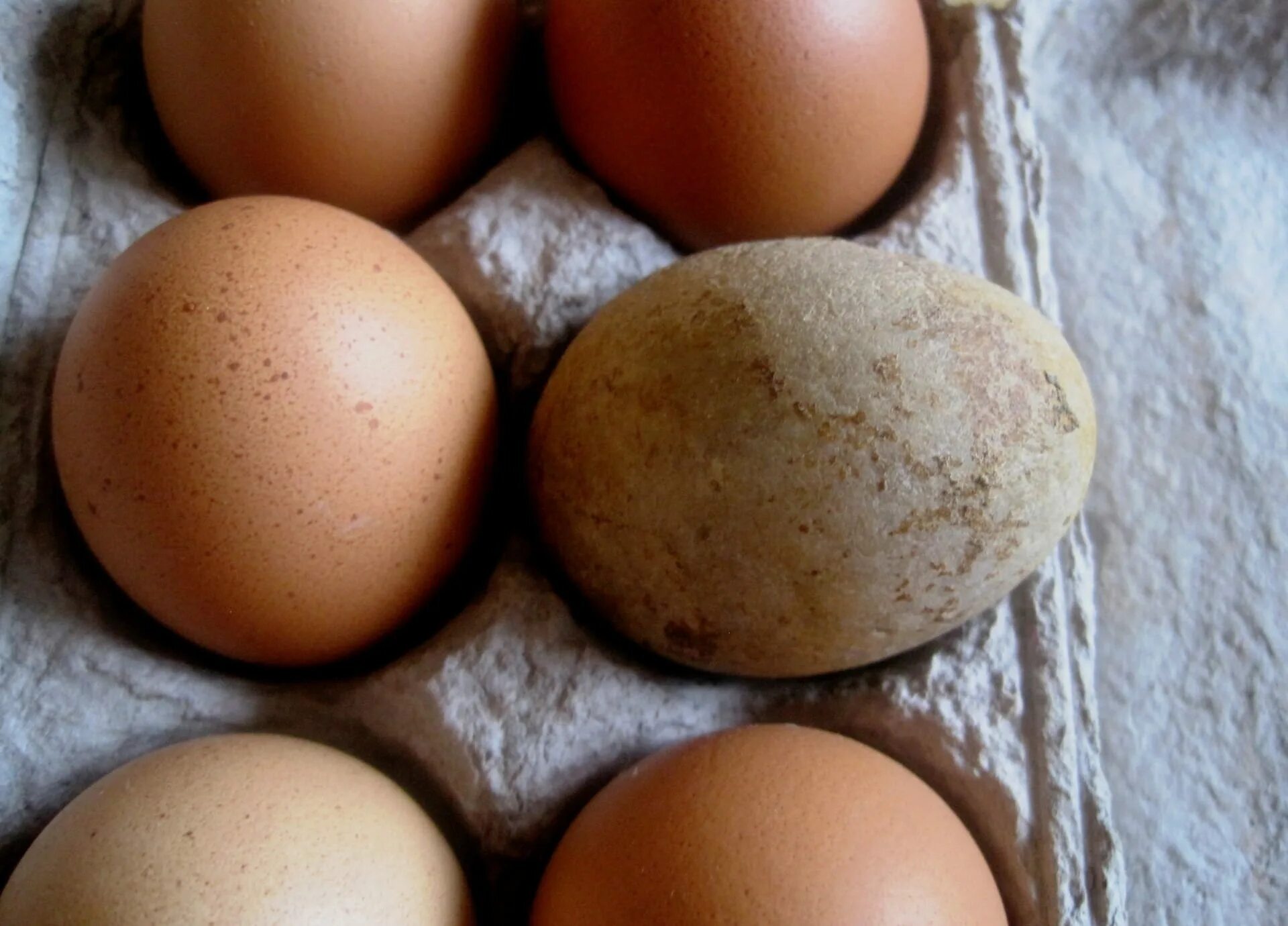 Купить 4 яйца. Сорта яиц. Сорта яиц куриных. Сорт крупных яиц. Яйца по сортам.