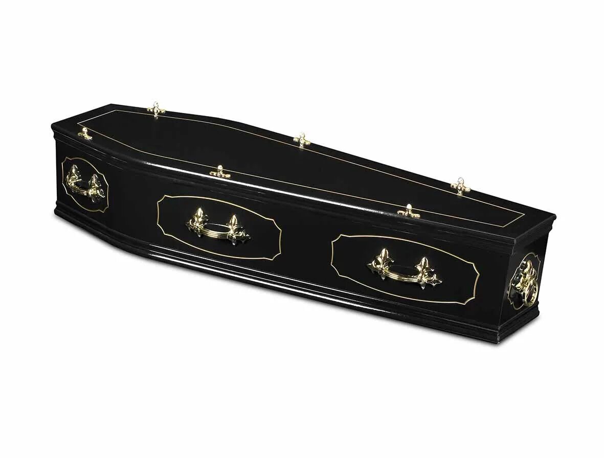 Черный гроб. Красивые гробы. Красивый черный гроб. Гроб классический черный. Coffin s