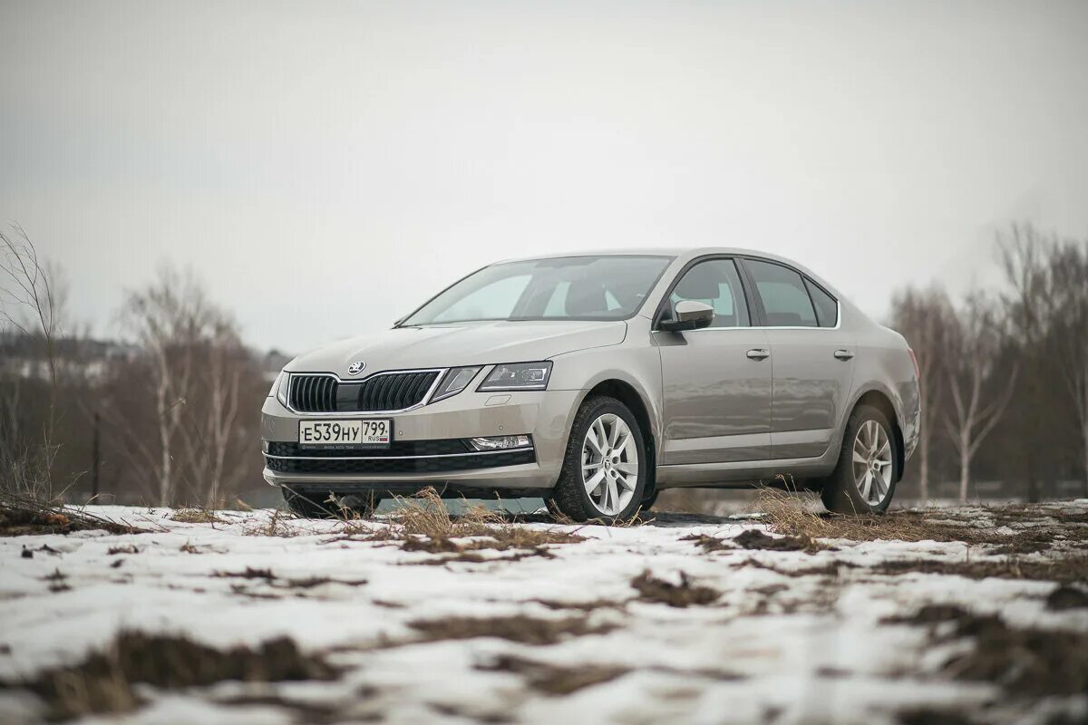 Обзор skoda. Шкода Октавия 19. Шкода Октавия 19 года. Шкода Октавия линейка 2022. Октавия 19 серебристая.