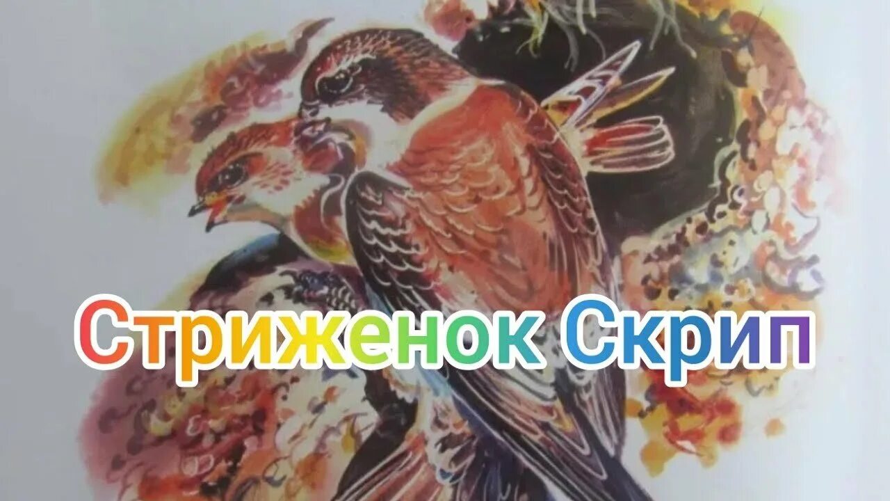 Рассказ стрижонок скрип читать. Астафьев в. "Стрижонок скрип". Астафьев. Стрижёнок скрип. В П Астафьев Стрижонок скрип.