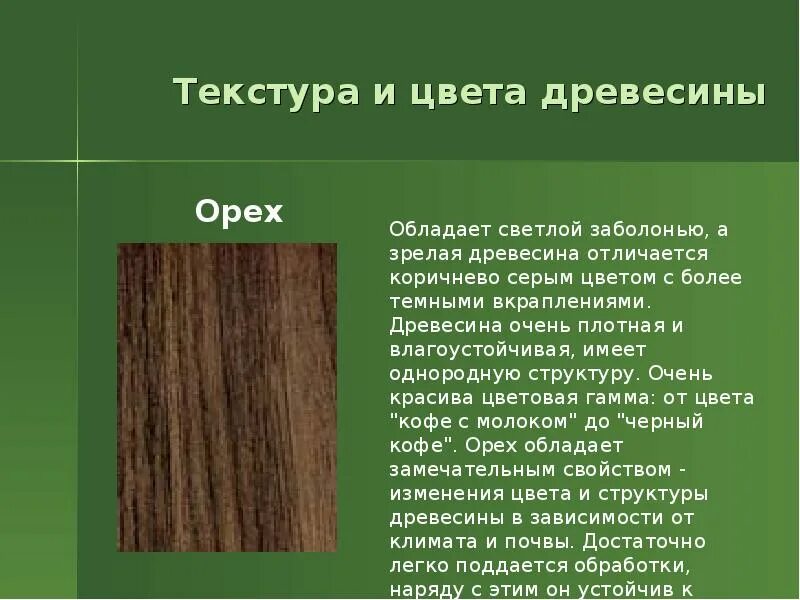Цвет дерева значение