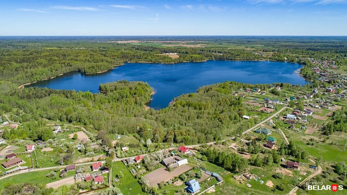 Деревня полоцк. Азино озеро белое. белое (озеро, полоцкий район). озеро суя полоцкий район. деревня азино беларусь.