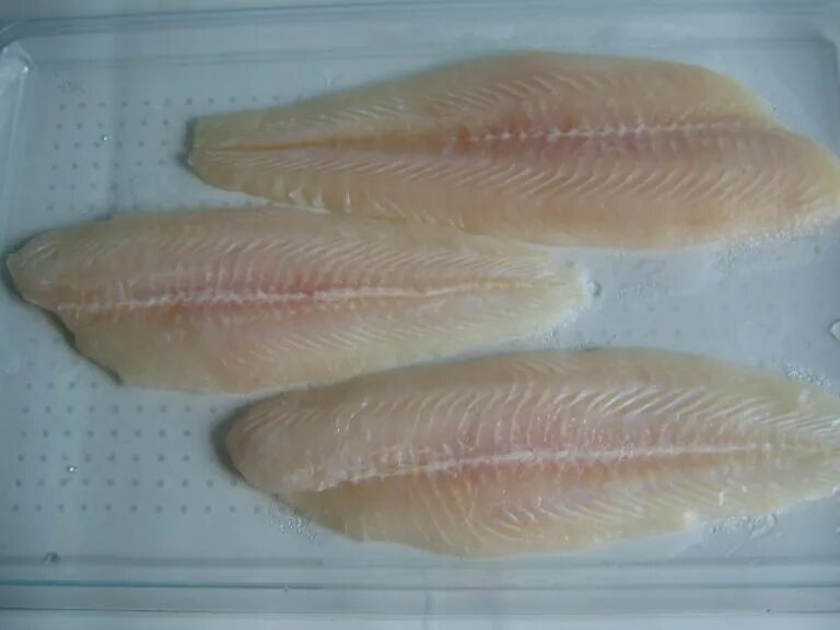 Solea (fish) - Wikipedia
