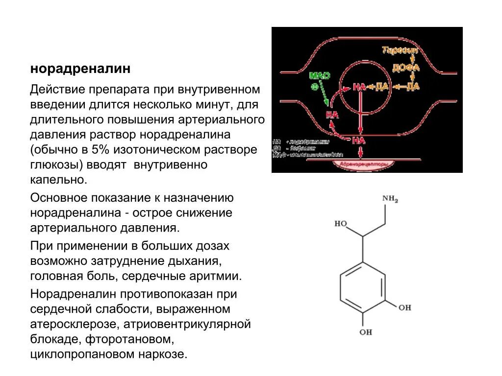 Снижение адреналина. Норадреналин действует при внутривенном введении. Внутривенное капельное Введение норадреналина. Норадреналин 2%. Артериальное давление при норадреналин.
